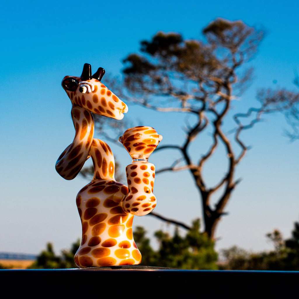 Fat Buddha Glass Bong Giraffe Bong
